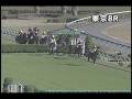 videos de [パトロールビデオ] 081122 5東京5 08R 秋陽ジャンプステークス