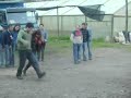 el se�or de la gerencia