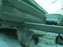 Hjalmar - Catchasing with steadycam