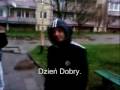 European Visual Comedy from Poland Europejska wizualna komed