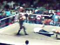mistico contra el perro aguayo