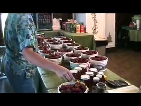 how to grow strawberries in tn