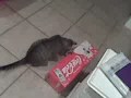 Something's wrong with my soda.