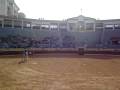 Malaga 2008- toros