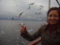 yagmurun elleri / yeni türkü