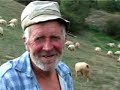 Undeva, in Europa ... Arad Undeva, in Europa ... Arad