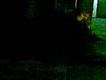 videos de monie golpeada