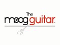 moog guitar