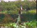 black bass