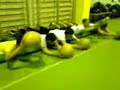 i lanciatori dell'edera atletica forlì
