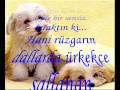 videos de DJ wolkan şiir slayt remix by dj wolkan