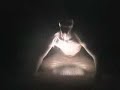 Shattered Bliss - Empty Inside