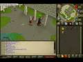 Runescape-Smooth Fighting