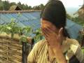 videos de Buddhas lost children_D_051208.wmv