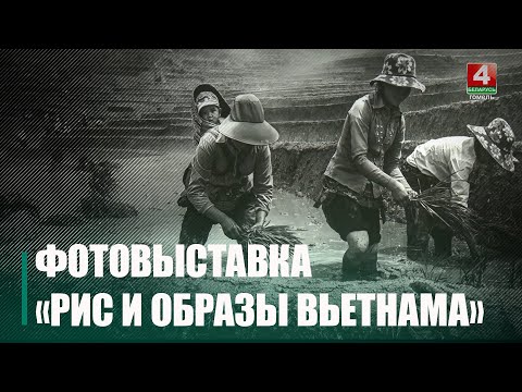 Выстава незвычайных фатаграфій «Рыс і вобразы В'етнама» адкрылася ў Гомелі видео