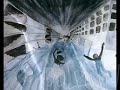 Дельфин Серебро