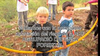 Fundación +Árboles: Plantación en St. Boi