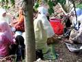 makan garam belacan