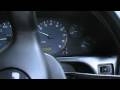 videos de Burying the Speedo