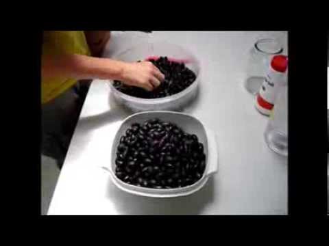 how to cure olives with salt