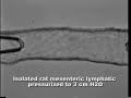 James E. Moore, Jr Research Vid 1