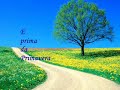 Merc�s da Cunha Rego /**Varandas**/
