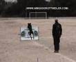 Arty - Prova de RCI III