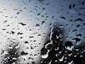 Disinfectant Trifecta - Rain