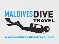 Maldives Soft And Hard Coral Reef Video