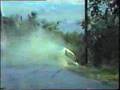 Crash rally cars