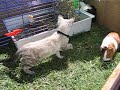 Eme tiene mala leche Eme tiene mala leche