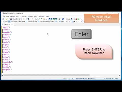 EmEditor - Multiple Selection Editing