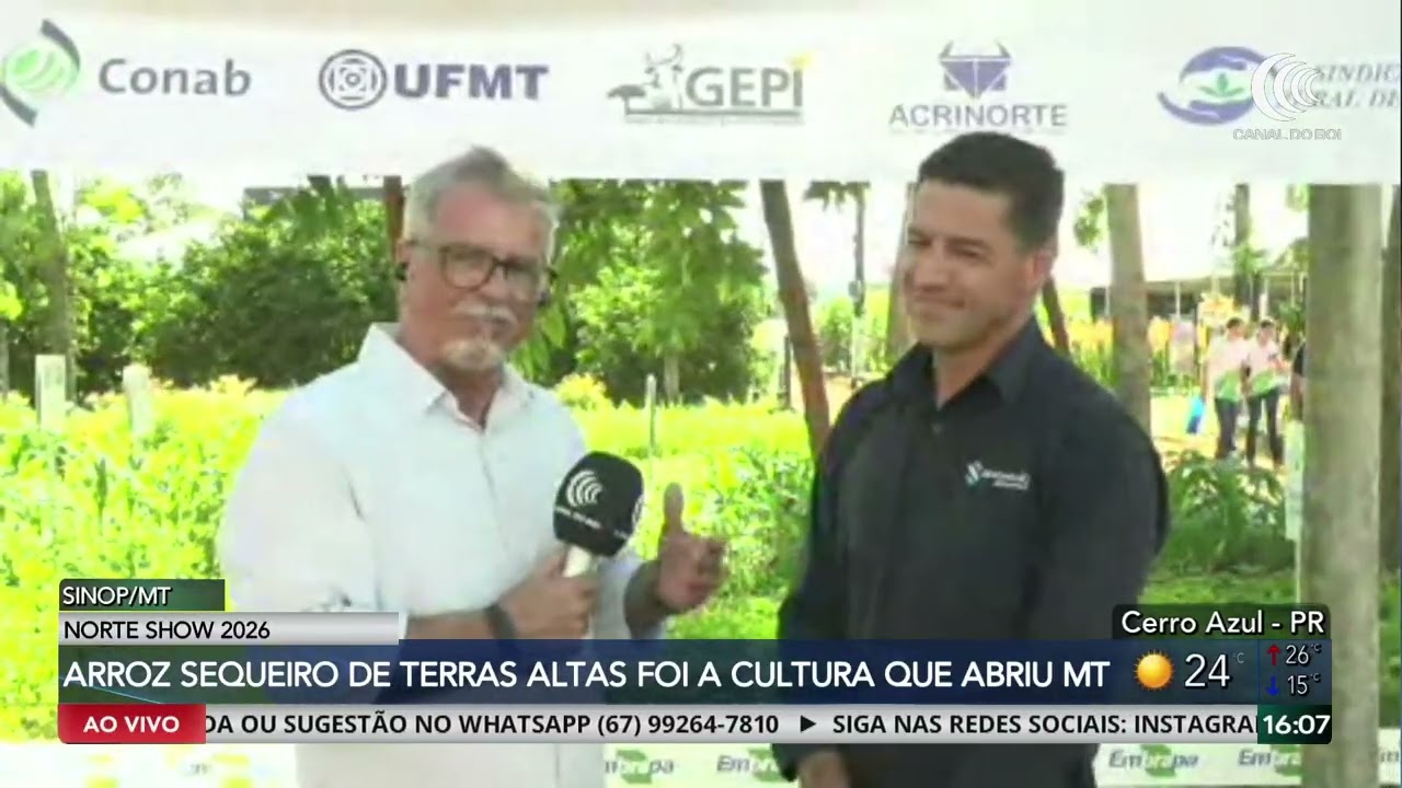 Arroz de sequeiro de terras altas foi a cultura que abriu Mato Grosso