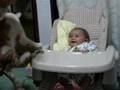 Danial & Mirumo