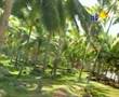 Trivandrum