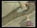 NTA #13?1:14:26? Shadow of The Colossus - JPN Ver - ??????