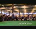 Crufts 2008 Golden CC & RCC Bitch