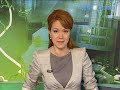 на Бородинском поле