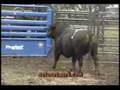 2008 Ford F-Series Super Duty Pickups, Bull Ride.
