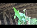 Recinto del pensamiento by Simon VELEZ.mov