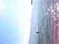 videos de jules ala playa switzerland