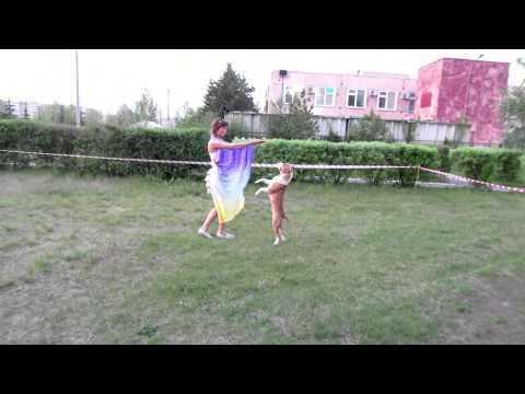 O melhor amigo da borboleta