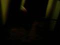 my spongebob dance_