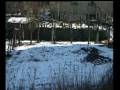 ALERTA NARANJA POR NIEVE