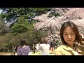 Click here to watch this video 【高画質版】森下玲可「あなたの風が吹くから（Your wind is blowing）」