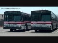 Torrance Transit 437 - 1989 Gillig Phantom 401026V92TA