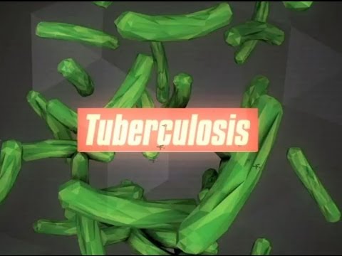 how to cure mdr tb