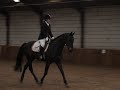 Hippeia YouTube channel