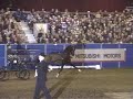 Makari Jetsetter Hackney horse