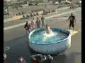 Kobe Bryant salta una piscina piena di anguille